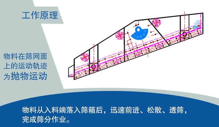 大型好色先生免费下载